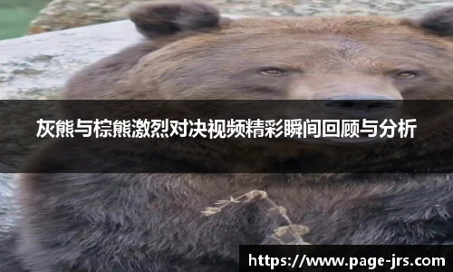 灰熊与棕熊激烈对决视频精彩瞬间回顾与分析