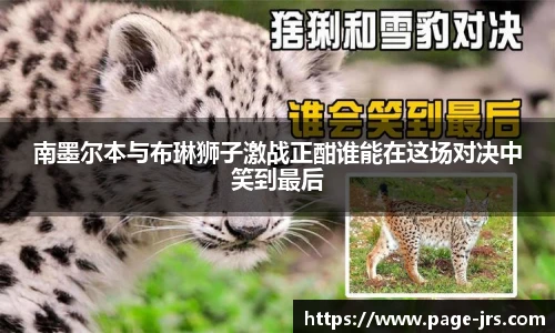 jrs直播低调看